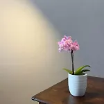 Apartmán Luna Civitavecchia